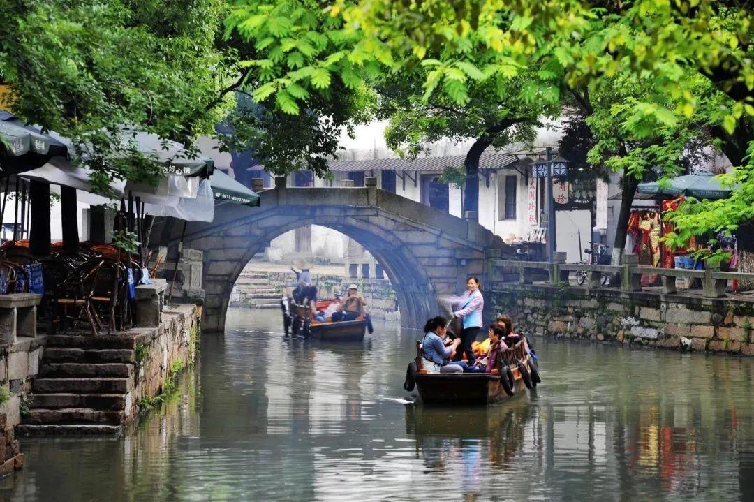 雨后盛放